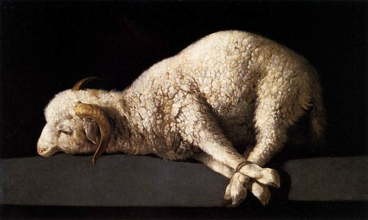 sacrificial lamb propitiation